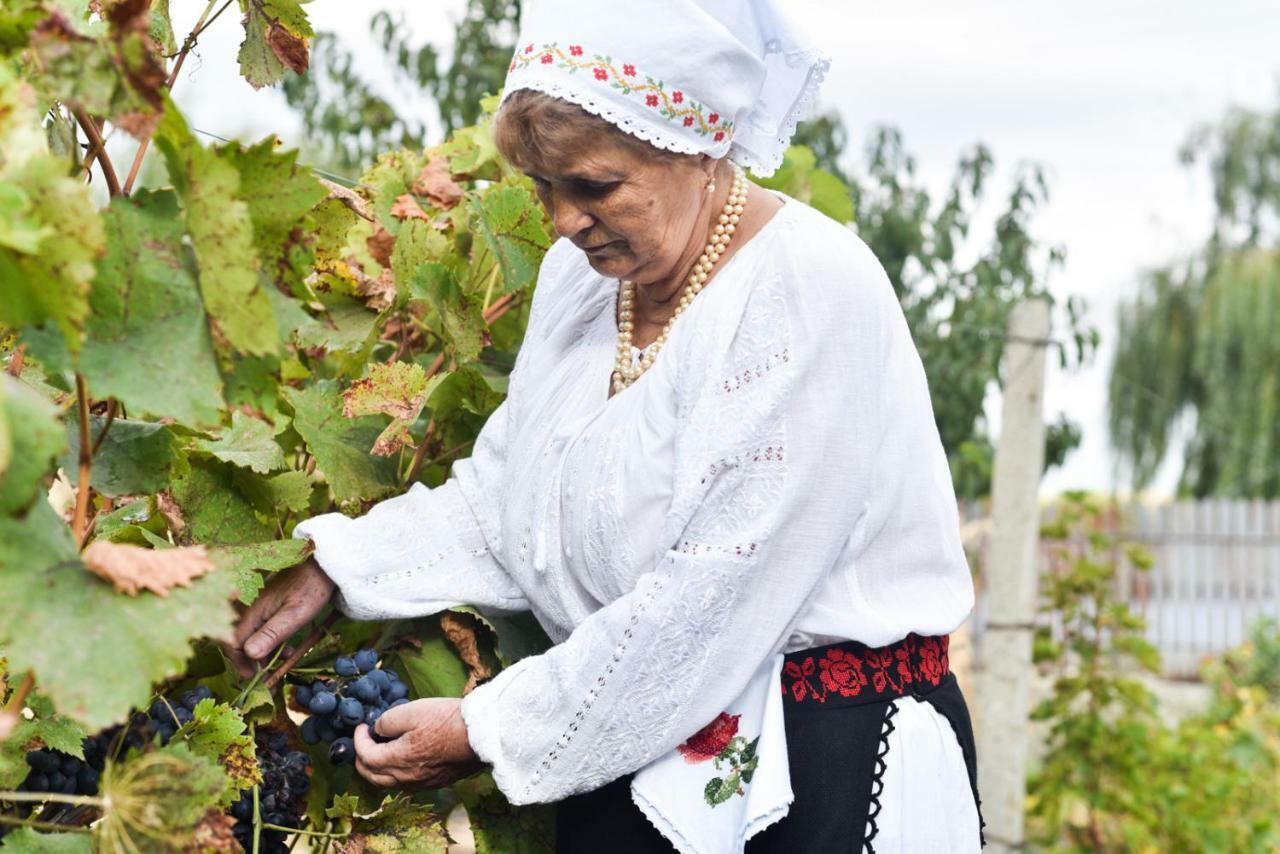 Casuta De Langa Lac Saharna Noua Dış mekan fotoğraf