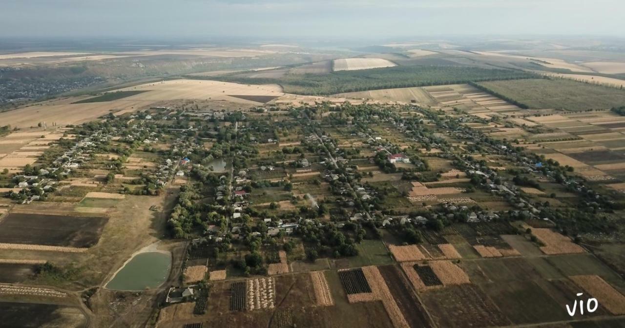 Casuta De Langa Lac Saharna Noua Dış mekan fotoğraf