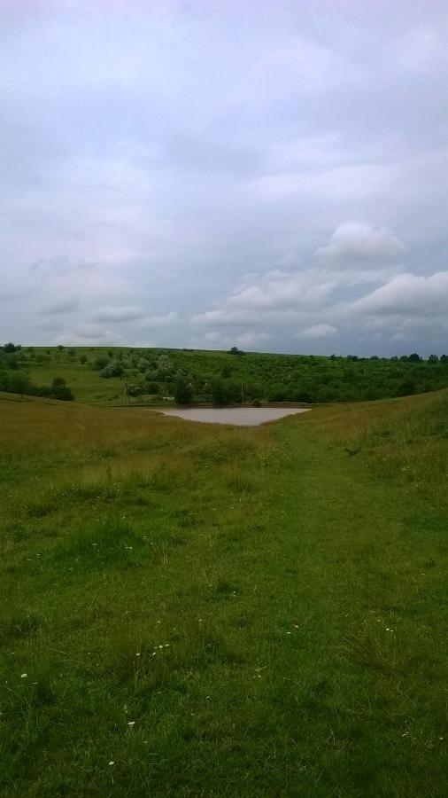 Casuta De Langa Lac Saharna Noua Dış mekan fotoğraf